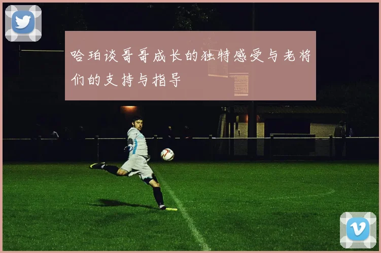 哈珀谈哥哥成长的独特感受与老将们的支持与指导