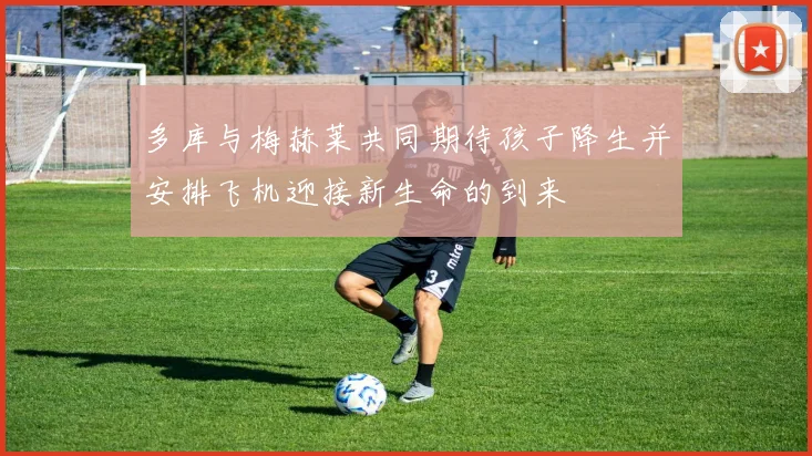 多库与梅赫莱共同期待孩子降生并安排飞机迎接新生命的到来
